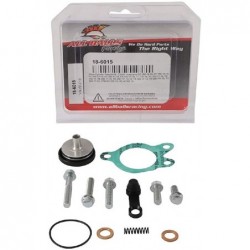 ALL BALLS SANKABOS PAVAROS REM KOMPL