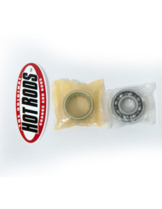 HOT RODS BALANSINIO VELENO REM KOMPLEKTAS GUOLIAI YAMAHA...