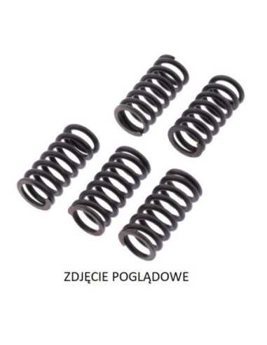 TRW ZF SANKABOS SPYRUOKLĖS KAWASAKI ZZR 1400 12-,