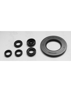 TOURMAX VARIKLIO RIEBOKŠLIŲ KOMPLEKTAS YAMAHA YZF 1000R...