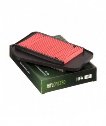 Oro filtras HFA1113