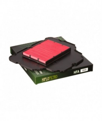 Oro filtras HFA1609