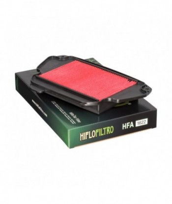 Oro filtras HFA1622