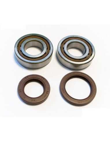 BEARING WORX ALKŪNINIO VELENO GUOLIAI SHERCO ENDURO 2.5I 08- 16, ENDURO 3.0I 4T 08- 16