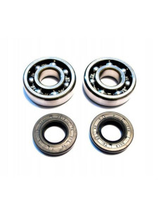 BEARING WORX ALKŪNINIO VELENO GUOLIAI SHERCO SEF 250R 15-...