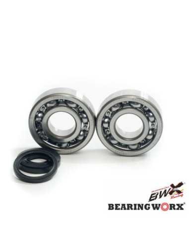 BEARING WORX ALKŪNINIO VELENO GUOLIAI SU RIEBOKŠLIAIS HUSQVARNA CR250 99-04, WR250 99-13, WR300 98-13 (NTN) (MADE IN JAPAN)