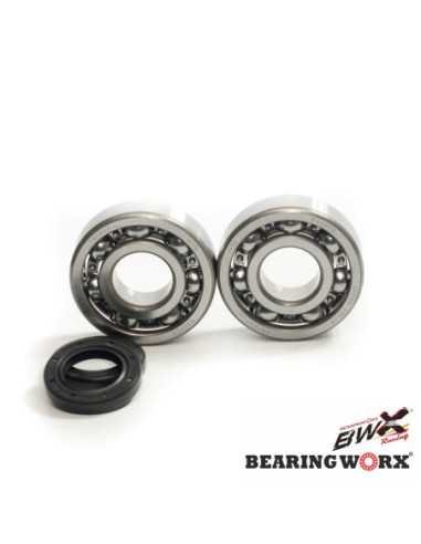 BEARING WORX ALKŪNINIO VELENO GUOLIAI SU RIEBOKŠLIAIS KAWASAKI KDX 200 91- 06, KDX 220 97- 05 (NTN) (MADE IN JAPAN) (24-1045)