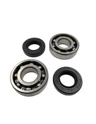 BEARING WORX ALKŪNINIO VELENO GUOLIAI SU RIEBOKŠLIAIS KAWASAKI KFX 80 03- 06, SUZUKI LT-80 87- 06 (NTN) (MADE IN JAPAN)