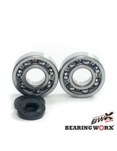 BEARING WORX ALKŪNINIO VELENO GUOLIAI SU RIEBOKŠLIAIS KAWASAKI KX 250 87-01 (NTN) (MADE IN JAPAN) (24-1010)