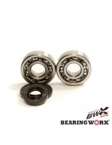 BEARING WORX ALKŪNINIO VELENO GUOLIAI SU RIEBOKŠLIAIS KTM SX 65 09-17 (NTN) (MADE IN JAPAN) (24-1103)