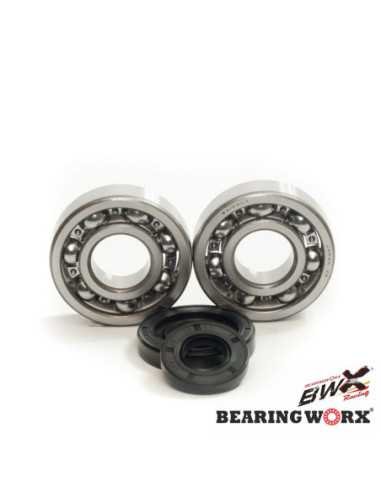 BEARING WORX ALKŪNINIO VELENO GUOLIAI SU RIEBOKŠLIAIS YAMAHA YZ 250 01- 22 (NTN) (MADE IN JAPAN) (24-1029)