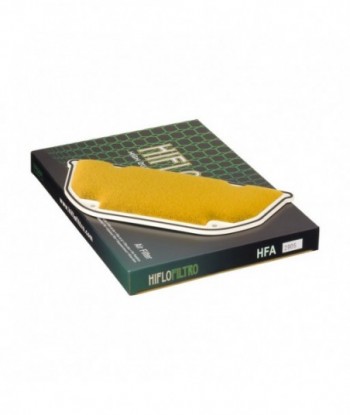 Oro filtras HFA2905