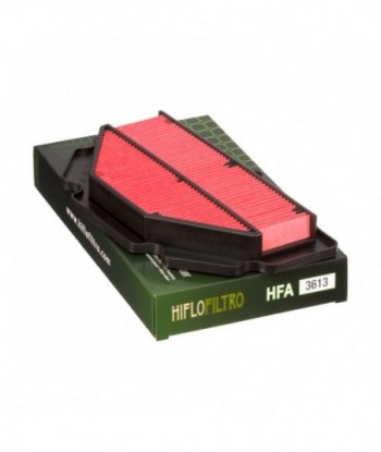 Oro filtras HFA3613