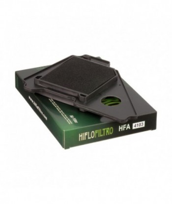 Oro filtras HFA4103