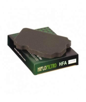 Oro filtras HFA4202
