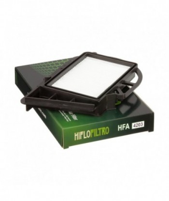 Oro filtras HFA4203