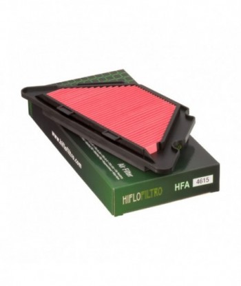 Oro filtras HFA4615