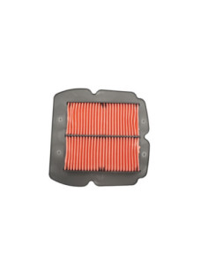 BIKETEC ORO FILTRAS SUZUKI SV 650 SV 650S 03-15, (OEM...