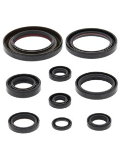 WINDEROSA (VERTEX) VARIKLIO RIEBOKŠLIŲ KOMPLEKTAS HONDA...