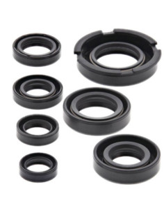 WINDEROSA (VERTEX) VARIKLIO RIEBOKŠLIŲ KOMPLEKTAS HONDA...