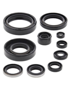 WINDEROSA (VERTEX) VARIKLIO RIEBOKŠLIŲ KOMPLEKTAS...