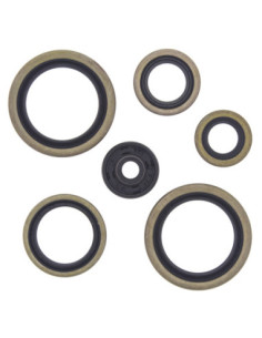 WINDEROSA (VERTEX) VARIKLIO RIEBOKŠLIŲ KOMPLEKTAS KTM...