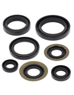 WINDEROSA (VERTEX) VARIKLIO RIEBOKŠLIŲ KOMPLEKTAS YAMAHA...