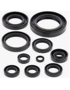 WINDEROSA (VERTEX) VARIKLIO RIEBOKŠLIŲ KOMPLEKTAS YAMAHA...