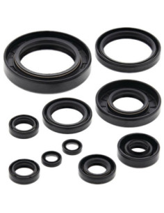 WINDEROSA (VERTEX) VARIKLIO RIEBOKŠLIŲ KOMPLEKTAS YAMAHA...