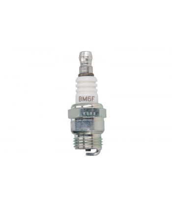 Žvakė NGK BM6F 6221